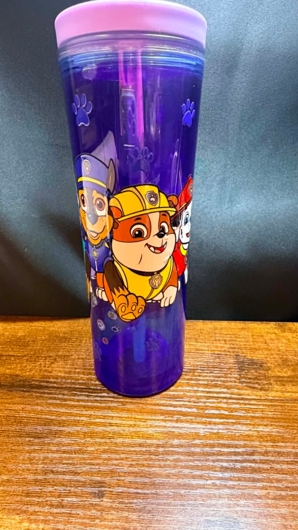 PRE-MADE20OZ ACRYLIC SNOW GLOBE CUP FLIP TOP WATER BOTTLE