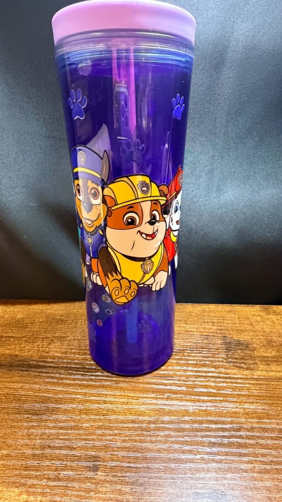 PRE-MADE20OZ ACRYLIC SNOW GLOBE CUP FLIP TOP WATER BOTTLE