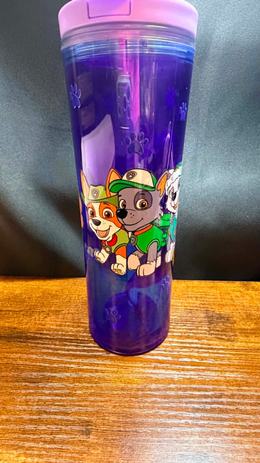 PRE-MADE20OZ ACRYLIC SNOW GLOBE CUP FLIP TOP WATER BOTTLE