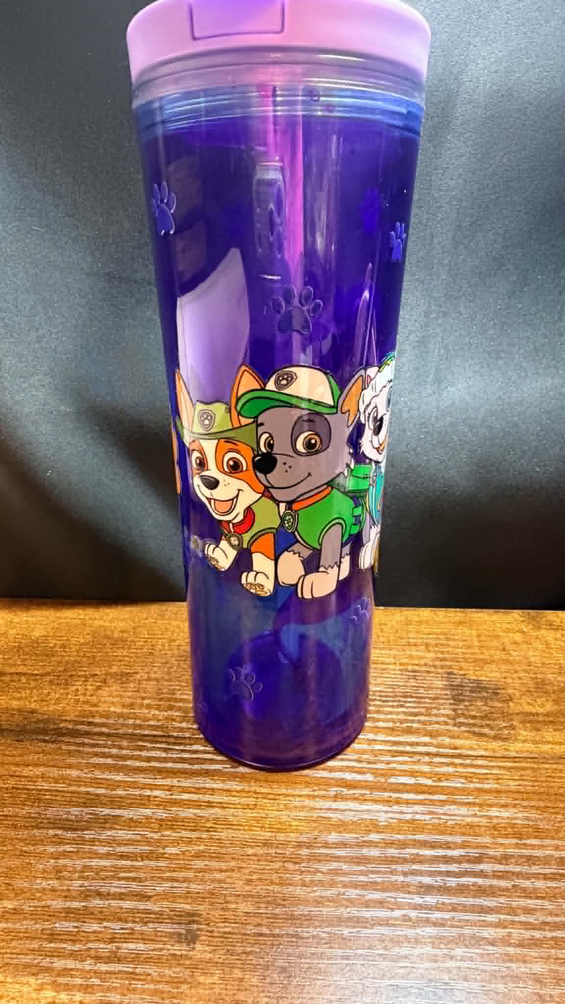 PRE-MADE20OZ ACRYLIC SNOW GLOBE CUP FLIP TOP WATER BOTTLE