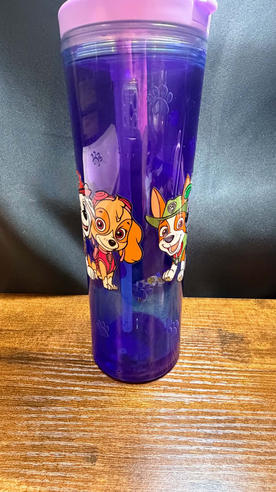 PRE-MADE20OZ ACRYLIC SNOW GLOBE CUP FLIP TOP WATER BOTTLE