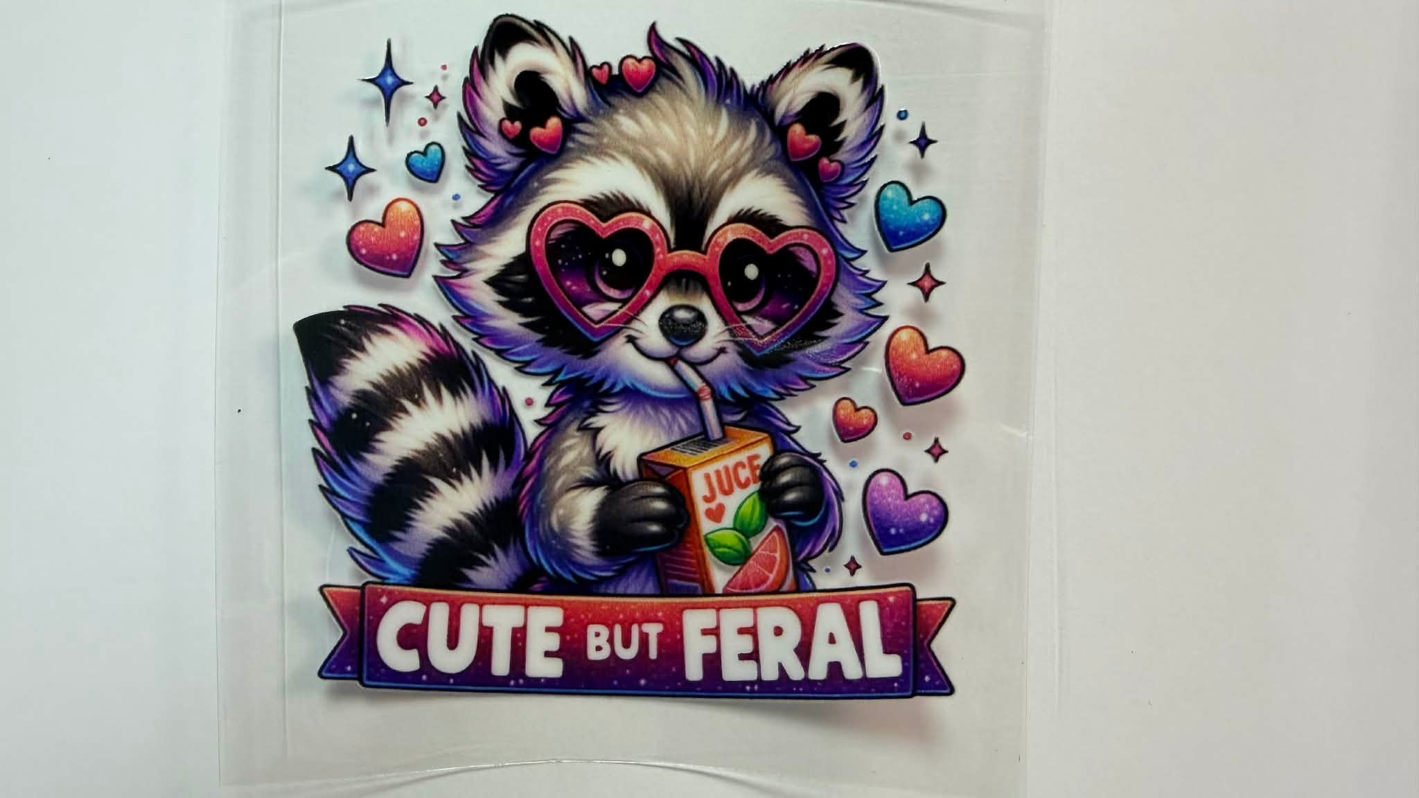 RACCOON