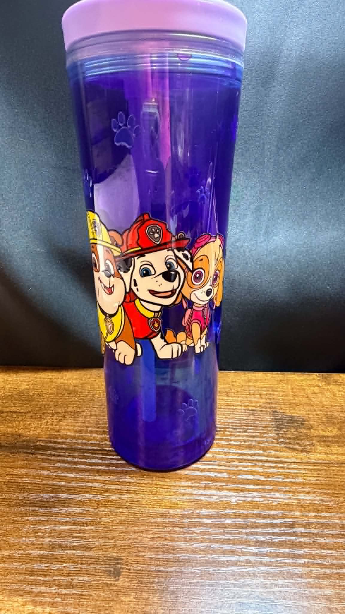 PRE-MADE20OZ ACRYLIC SNOW GLOBE CUP FLIP TOP WATER BOTTLE
